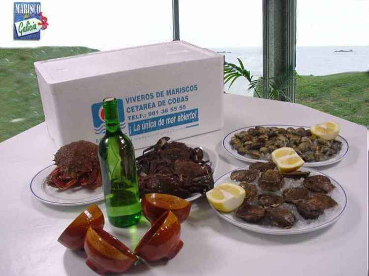 mariscada costa norte